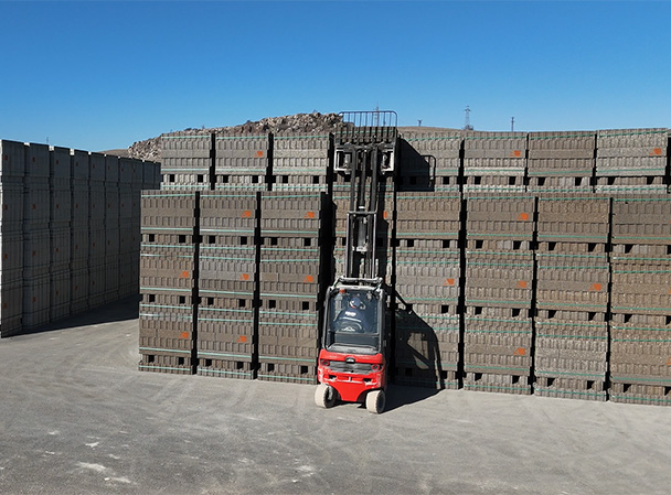 {$cat->language_meta->{app()->getLocale()}->meta->title}}