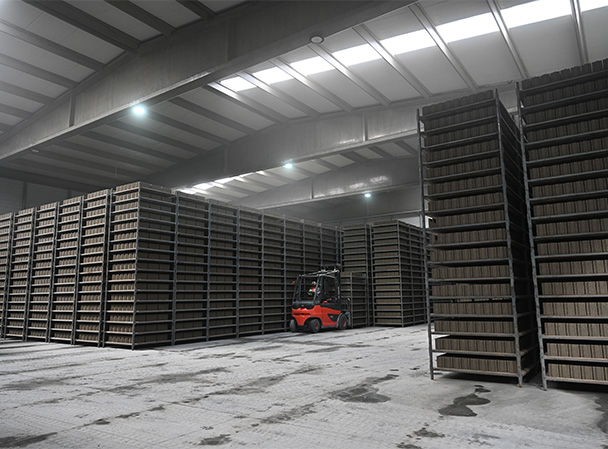 {$cat->language_meta->{app()->getLocale()}->meta->title}}